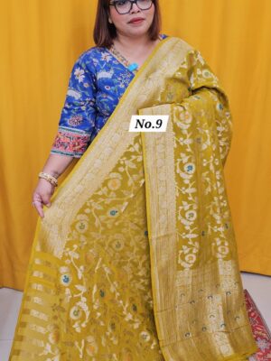 24TH SEP LIVE – PREMIUM GEORGETT KHADDI SAREE (NO.9)
