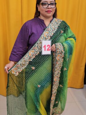 1ST SEP LIVE – MOSS CHIFFON SAREE (NO.12)