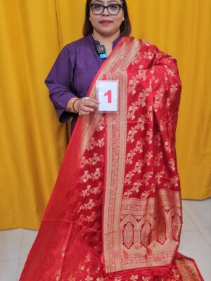 1ST SEP LIVE – GEORGETT SILK KHADDI SAREE (NO.1)