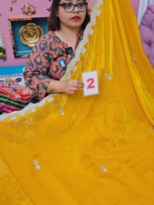 3RD SEP LIVE – BOLLYWOOD DESIGNER SAREE (NO.2)