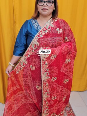 23RD SEP LIVE –  MOSS CHIFFON SAREE (NO.20)