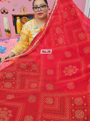 11TH OCT MEGA SALE LIVE – MOSS CHIFFON SAREE (NO.28)