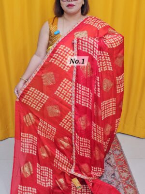 24TH OCT MEGA SALE LIVE – PREMIUM CHIFFON SAREE (NO.1)