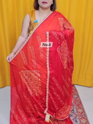 24TH OCT MEGA SALE LIVE – PREMIUM CHIFFON SAREE (NO.6)