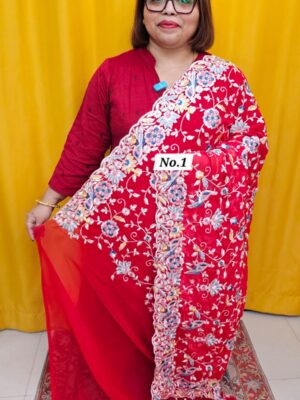 13TH OCT MEGA SALE LIVE – EMBROIDERED SAREE (NO.1)