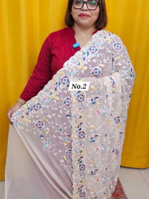 13TH OCT MEGA SALE LIVE – EMBROIDERED SAREE (NO.2)