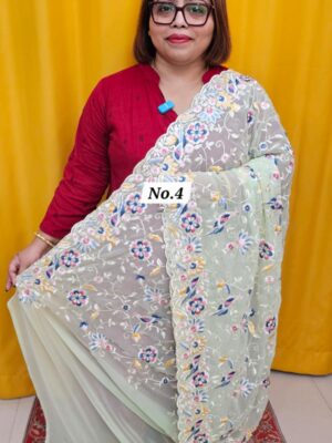 13TH OCT MEGA SALE LIVE – EMBROIDERED SAREE (NO.4)
