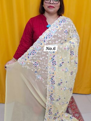 13TH OCT MEGA SALE LIVE – EMBROIDERED SAREE (NO.6)