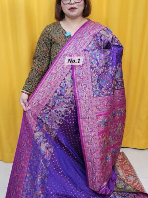 23RD OCT MEGA SALE 2ND LIVE – PASHMINA SILK SAREE (NO.1)