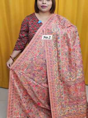 27TH OCT MEGA SALE 2NDLIVE - PASHMINA SOFT SILK SAREE (NO.2)