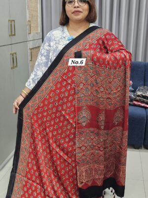 29TH OCT GRAND 2ND LIVE SALE – PURE AJRAKH MODAL SILK SAREE (NO.6)